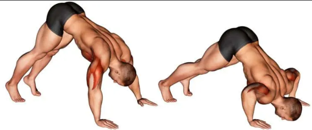 ضغط الكتف العامودي