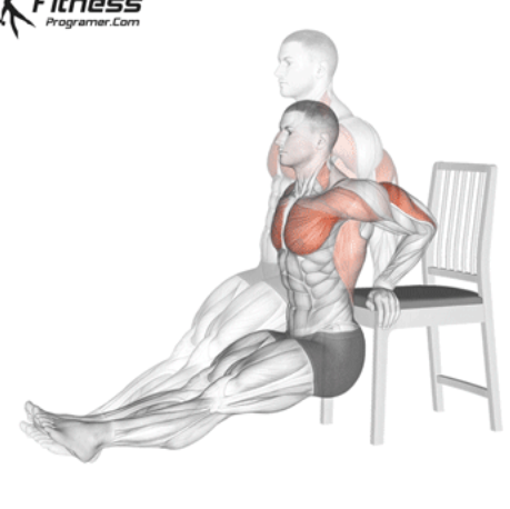 غطس على الكرسي