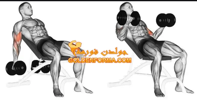 مرجحة البايسبس